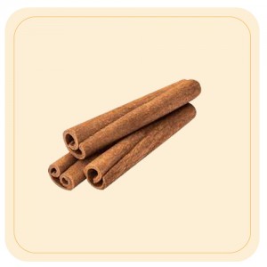 Cinnamon Tree / Lavanga pattai 