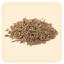 Cumin / Seeragam